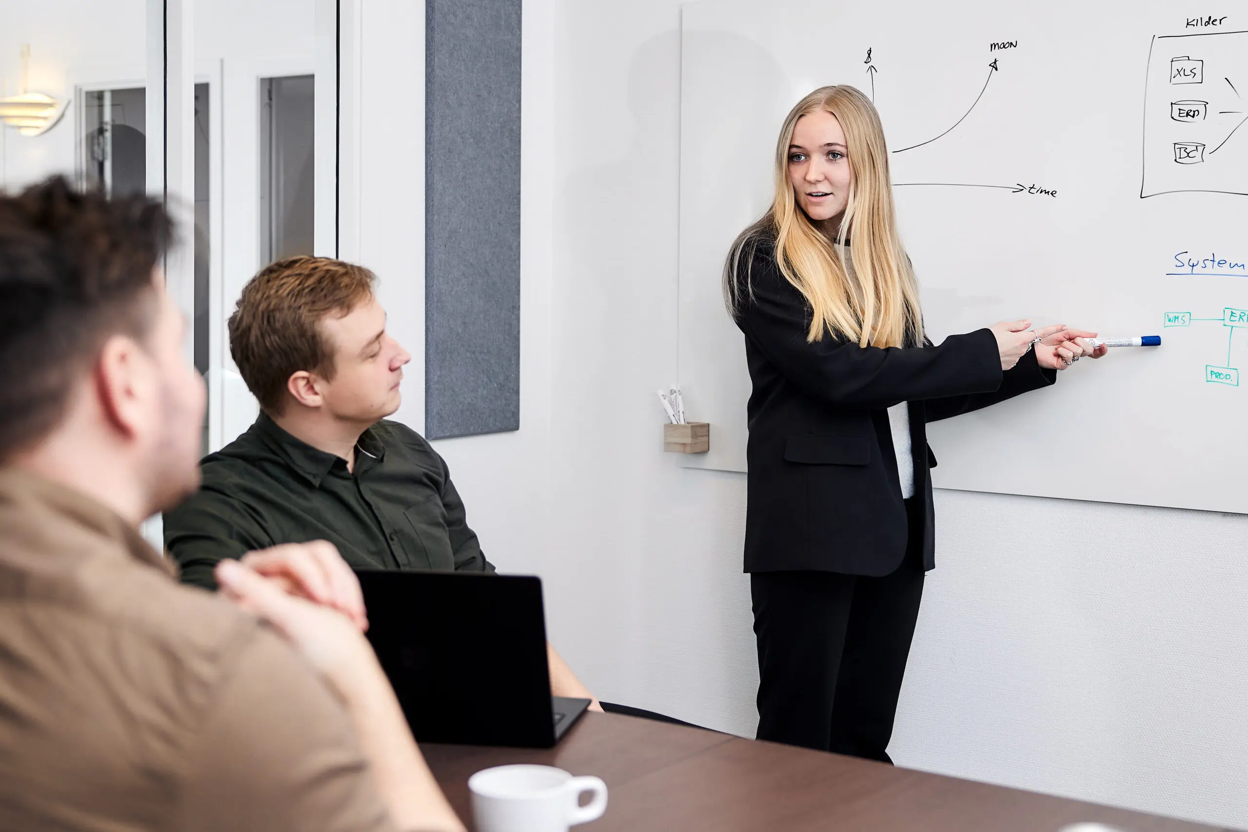 IT & Entreprise Arkitektur, OTARI